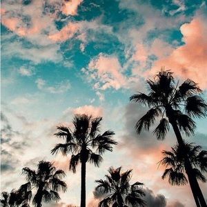 Meet your Posher, Mackenzie